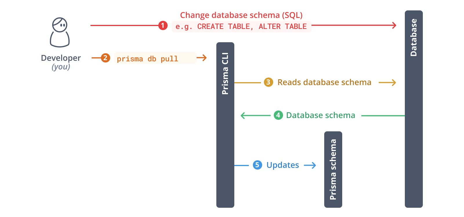 Introspect your database with Prisma ORM